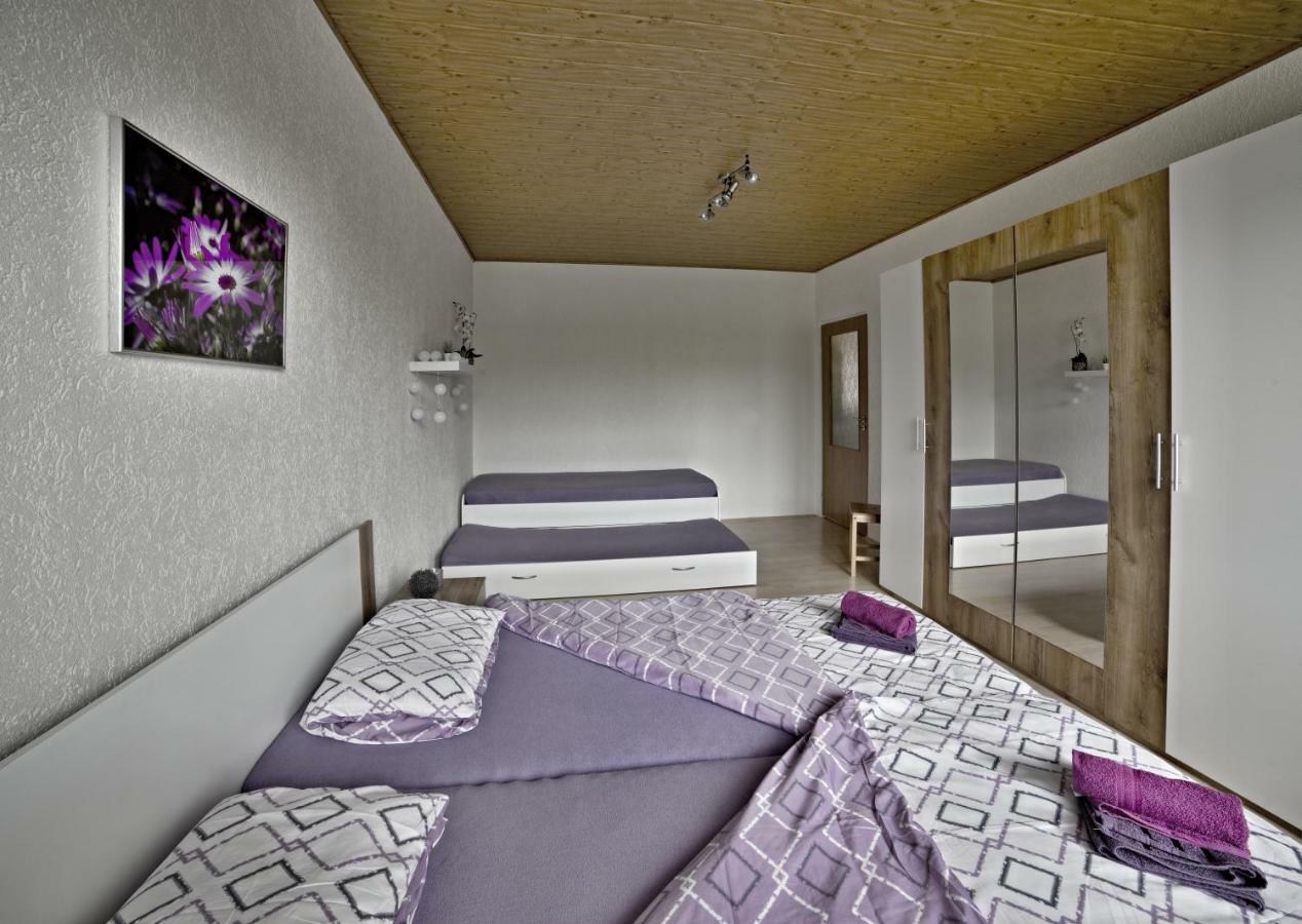 Apartmany 2+1 U Klinovce Kovářská المظهر الخارجي الصورة
